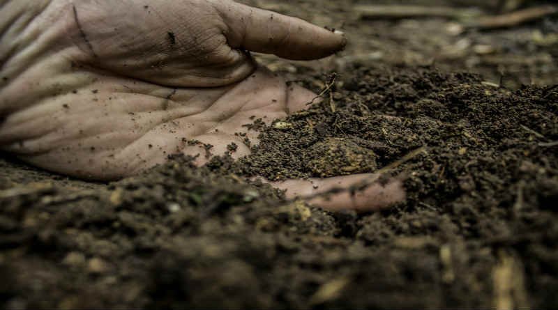 The creation of man and the incarnation of Christ