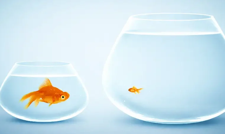 Principles of Biblical Interpretation