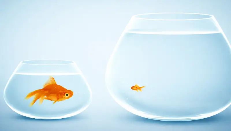 Principles of Biblical Interpretation