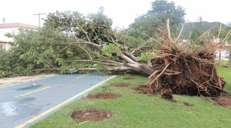 El plan que El Padre no plantó