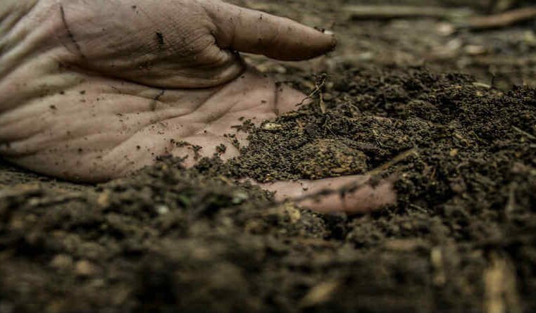 Kreyasyon an nan gason ak enkarnasyon a nan Kris La