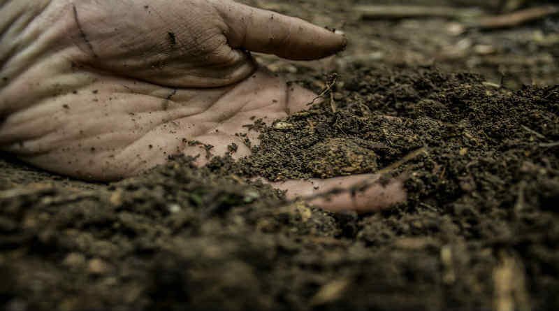 The sköpun mannsins og holdtekju Krists