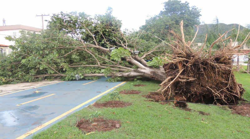 Het plan dat de Vader niet geplant heeft