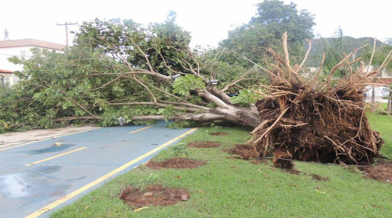Plan që Ati nuk e ka mbjellë