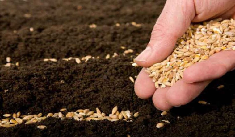 Wong mursid bakal urip kanthi iman