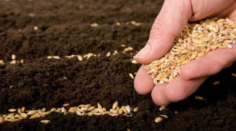 Người công chính sẽ sống nhờ đức tin