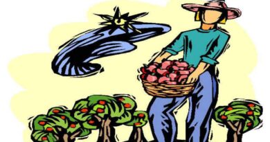 agricultor com cesta cheia de frutos