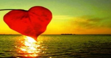 folha vermelha representando um coração