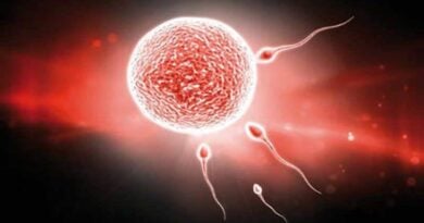 óvulo sendo fecundado por espermatozoides