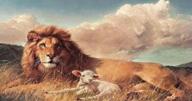 um leão e um cordeiro deitados na relva