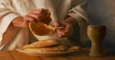 mãos rasgando pão ao meio