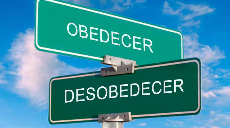 duas placas de trânsito com as palavras obedecer e desobedecer
