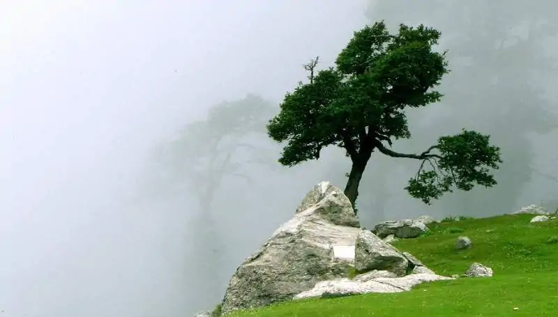 As misericórdias do Senhor nas Lamentações de Jeremias