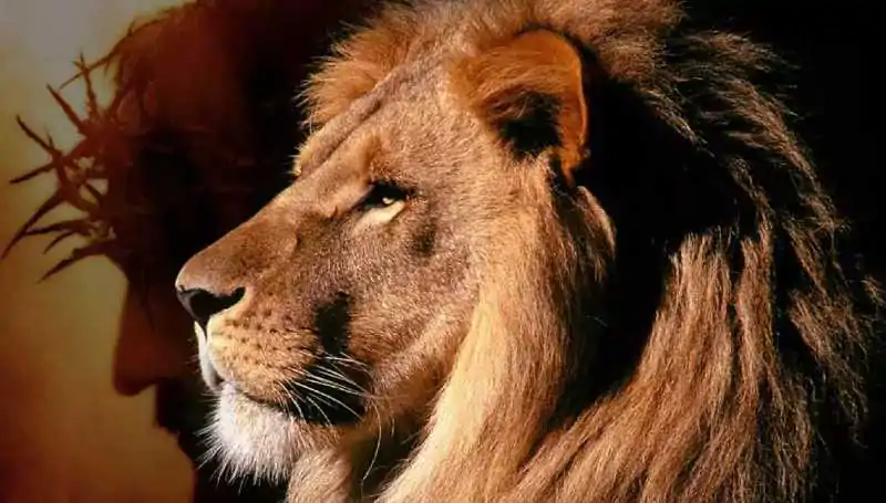 Por que Deus perdoou Davi e rejeitou Saul?