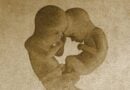Imagem de dois fetos no ventre