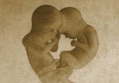 Imagem de dois fetos no ventre
