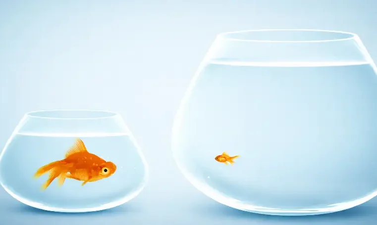 Princípios de interpretação dos textos bíblicos