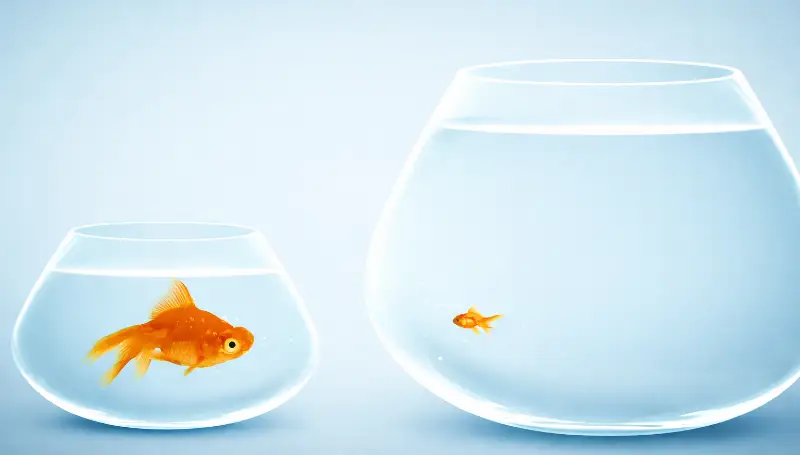 Princípios de interpretação dos textos bíblicos