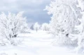 Branco Neve